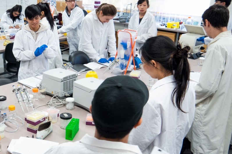 undergrads in lab